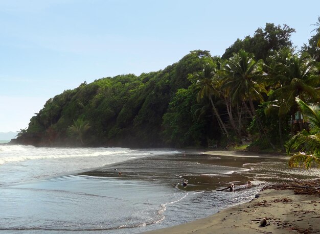 Paisagem de praia das Caraíbas