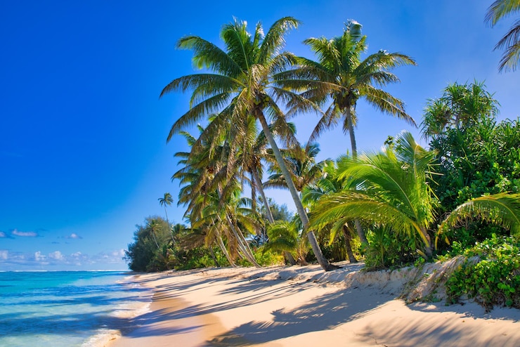 Foto paisagem de praia das ilhas de rarotonga cook