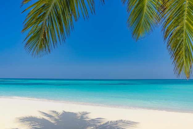 Paisagem de praia de verão. costa da ilha tropical, costa com folhas de palmeira. Horizonte de mar azul incrível