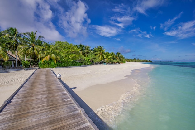 Paisagem de praia tropical idílica para plano de fundo ou papel de parede. Cais de madeira, ilha paradisíaca, verão