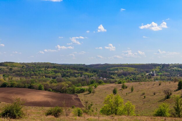 Paisagem de primavera com campos de prados de árvores verdes e céu azul