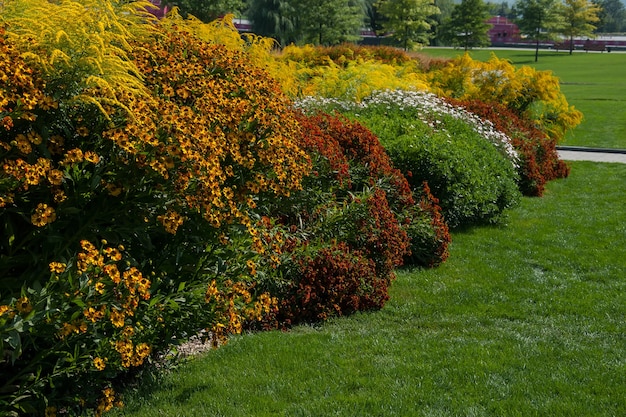 Paisagem de primavera com diferentes prados de flores e grama verde no parque