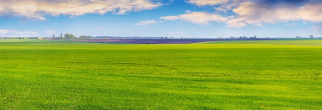 Paisagem de primavera com um amplo campo verde e um pitoresco céu nublado