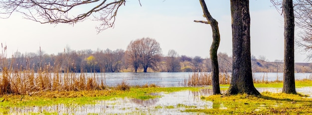 Paisagem de primavera com um rio e árvores perto do rio durante uma inundação