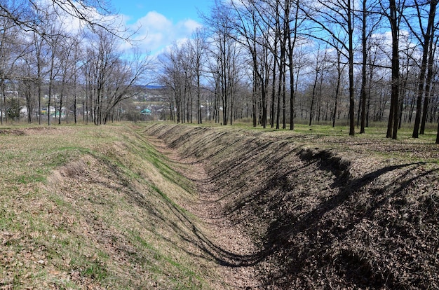 Paisagem de primavera com uma ravina profunda