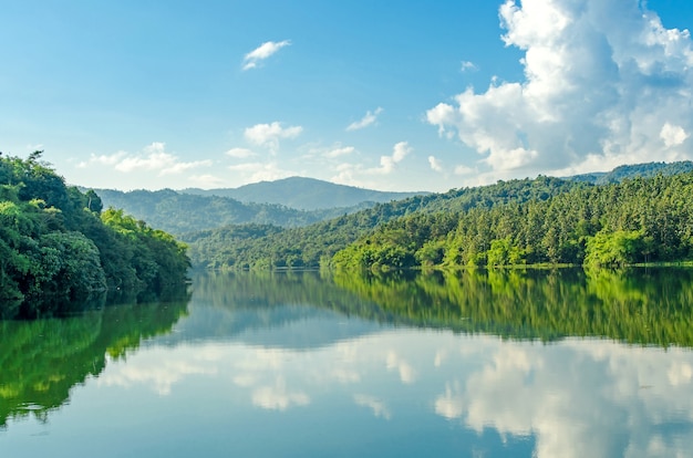 Foto paisagem, de, represa, e, lago, com, árvore