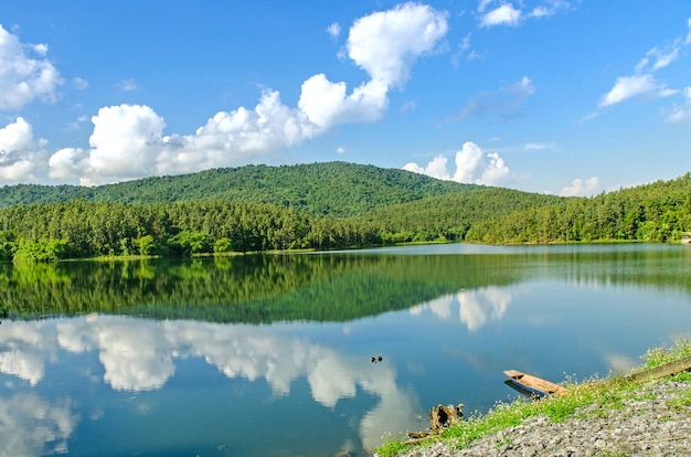 Paisagem, de, represa, e, lago, com, árvore