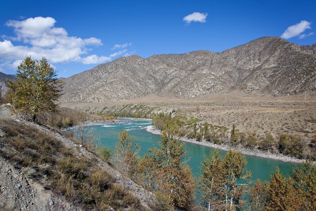 Paisagem de rio de montanha