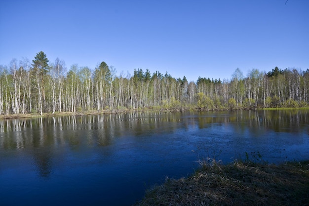 Paisagem de rio de primavera