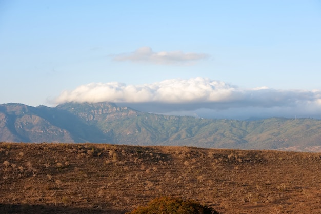 Paisagem de savana no Parque Nacional do Quênia, África