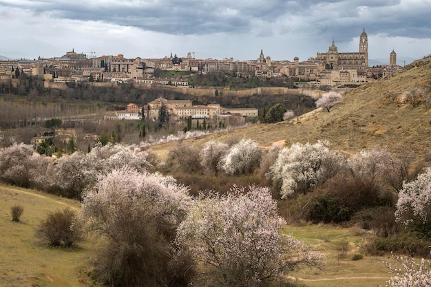 Paisagem de Segóvia com amendoeiras em flor Início da primavera na Espanha