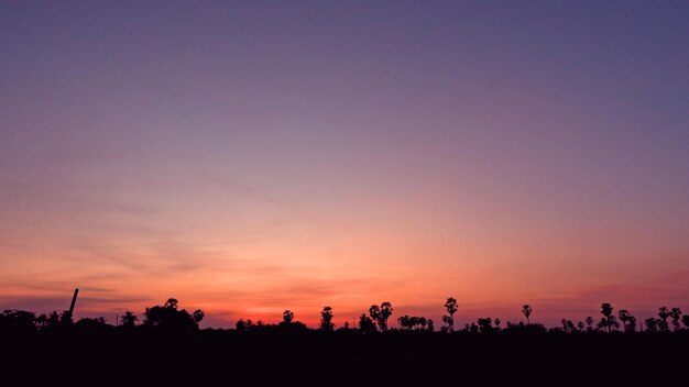 Paisagem de silhueta contra o céu claro durante o pôr-do-sol