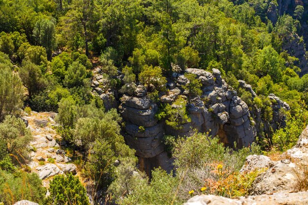 Paisagem de Tazi Canyon no vale e penhasco de Manavgat Turquia