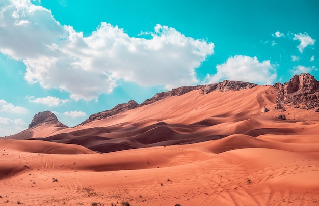 Paisagem de um deserto perto de Dubai, Emirados Árabes Unidos