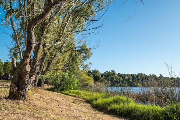 Paisagem de um lago em canelones uruguai