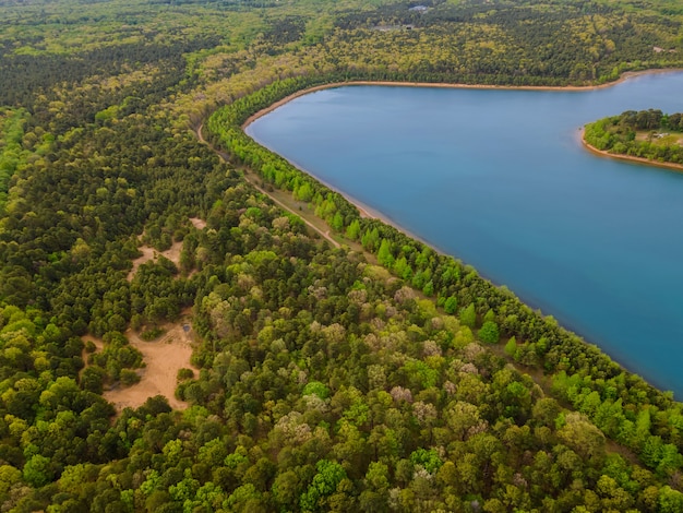 Paisagem de um lago em uma floresta