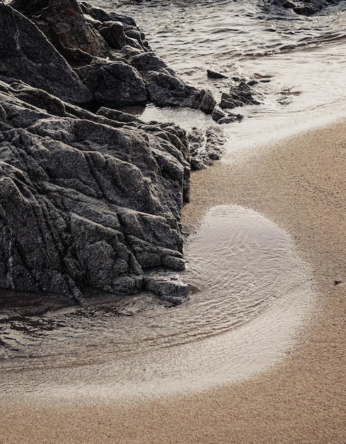 Paisagem de uma costa de praia com ondas e espuma.