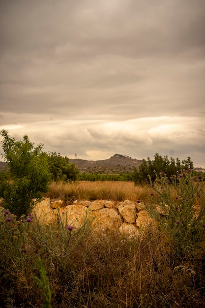 Foto paisagem de uma montanha entre as árvores