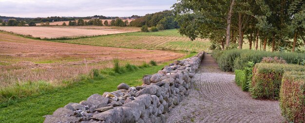 Paisagem de uma terra cultivada com culturas crescendo pela zona rural Bela cena natural de uma terra agrícola aberta perto de um jardim com árvores de cerca de pedra e grama em um ambiente verde