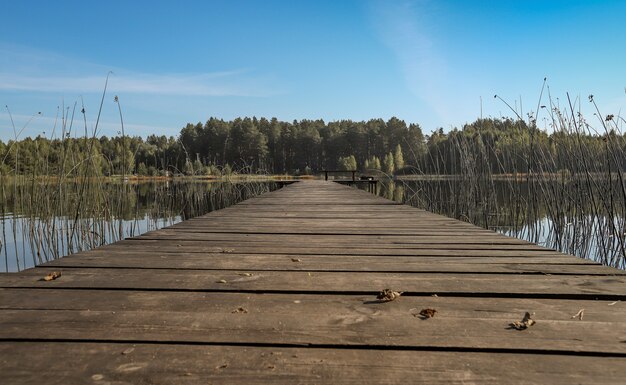 Paisagem de verão com cais longo de madeira ou cais de madeira em perspectiva sobre o lago ou floresta de rio em ...