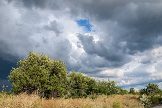 Foto paisagem de verão com campos e árvores no dramático céu azul nublado