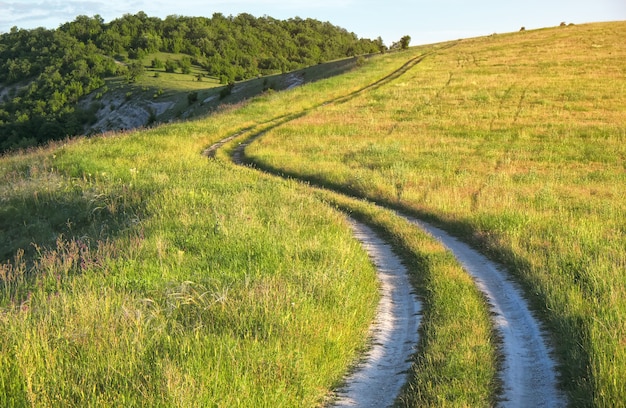 Paisagem de verão com grama verde, estrada e árvores