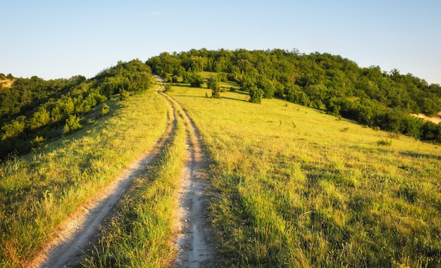 Paisagem de verão com grama verde, estrada e árvores