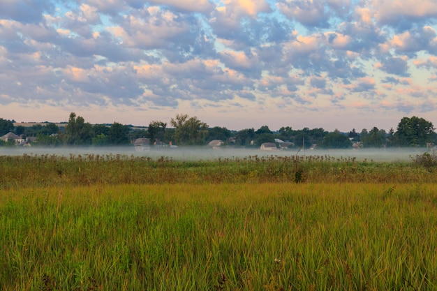 Paisagem de verão com prado verde enevoado, árvores e céu. Nevoeiro na pastagem pela manhã