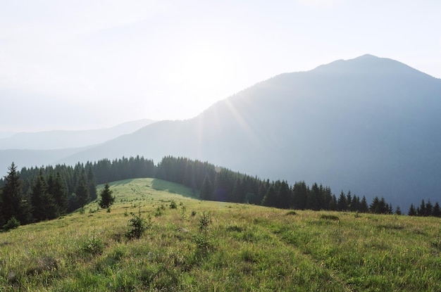 Paisagem de verão com trilha nas montanhas