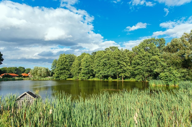 Paisagem de verão com um lago