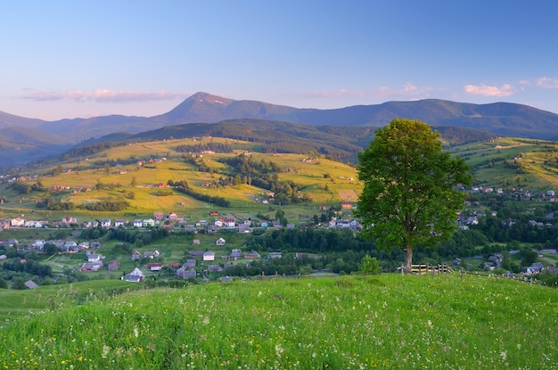 Paisagem de verão com uma vila nas montanhas