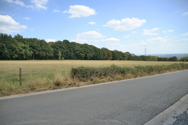 Paisagem de verão das ardenas da bélgica