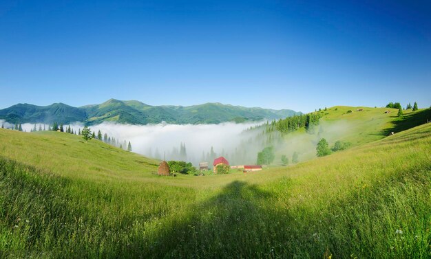 Paisagem de verão das montanhas dos cárpatos com céu azul e fundo natural de viagens de verão de neblina