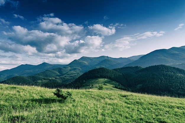 Paisagem de verão das montanhas dos Cárpatos com céu azul e nuvens naturais de fundo ao ar livre