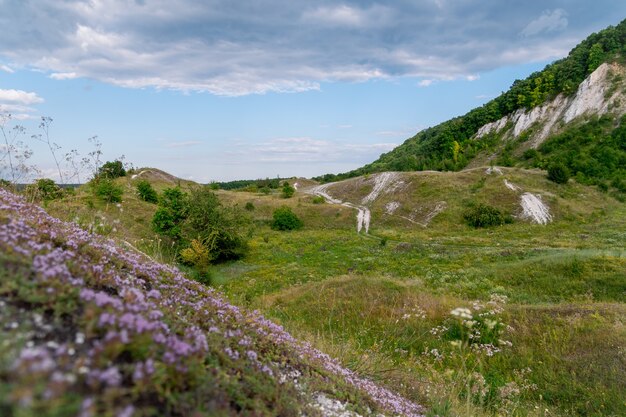 Paisagem de verão de montanhas com prados verdes