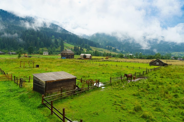 Paisagem de verão de montanhas verdes