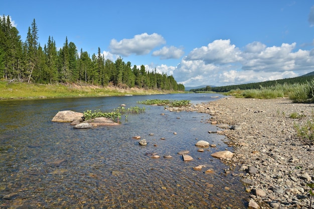 Paisagem de verão do rio taiga nos Urais