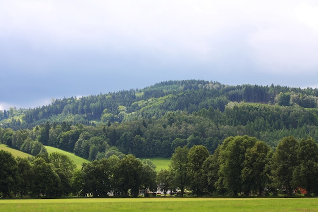 Paisagem de verão grama verde e céu azul