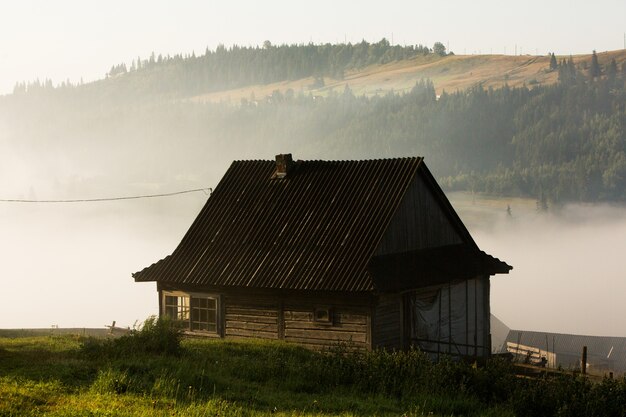 Paisagem de verão nas montanhas dos cárpatos na ucrânia