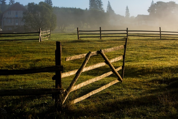 Paisagem de verão nas montanhas dos Cárpatos na Ucrânia