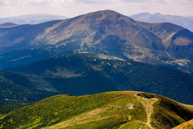 Foto paisagem de verão nas montanhas dos cárpatos na ucrânia