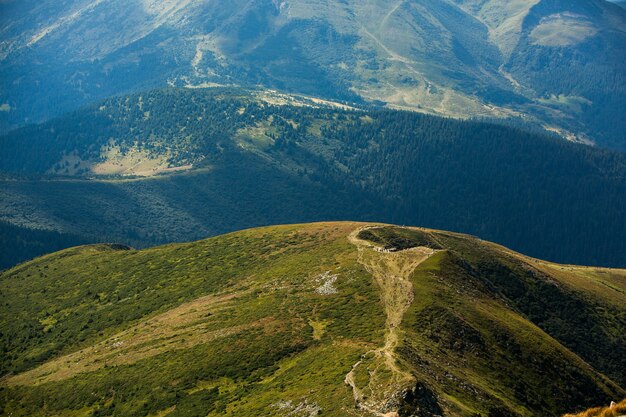 Paisagem de verão nas montanhas dos Cárpatos na Ucrânia