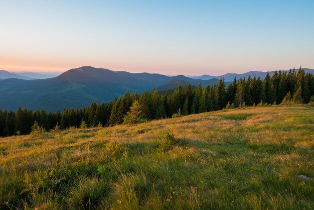 Paisagem de verão nas montanhas