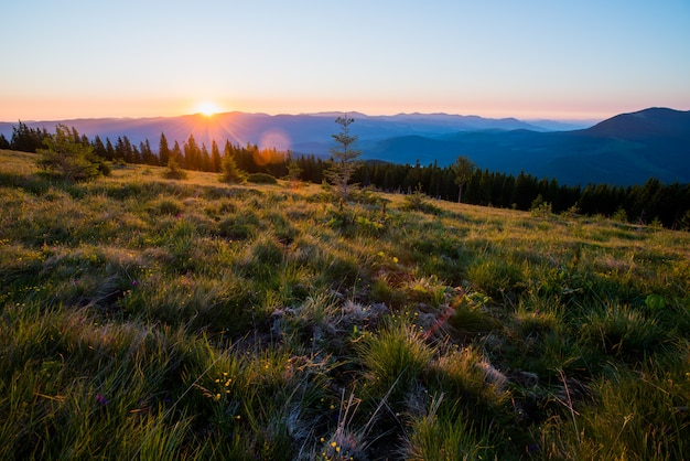 Paisagem de verão nas montanhas