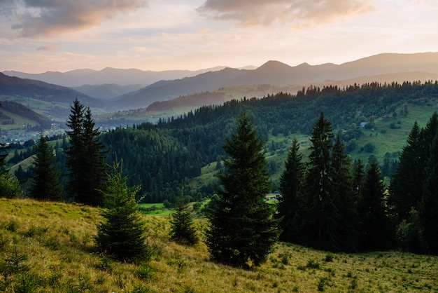 Paisagem de verão nas montanhas