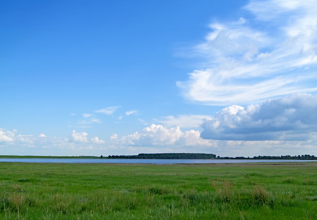 Paisagem de verão