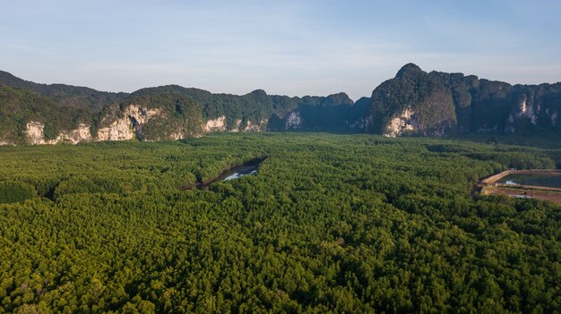 paisagem de vista aérea de árvore ou floresta, Krabi Tailândia