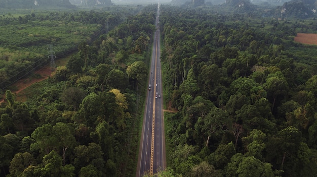 paisagem de vista aérea de árvore ou floresta, Krabi Tailândia