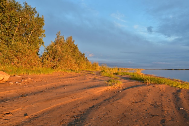 Paisagem deserta da noite