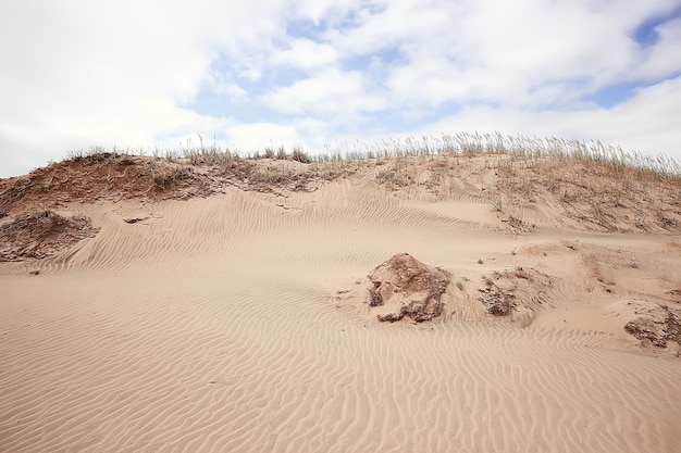 Paisagem desértica / deserto de areia, sem pessoas, paisagem de dunas